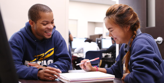 A student career ambassador mentoring another student