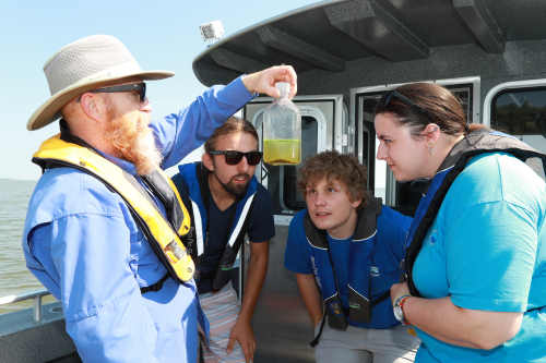 Science students looking at algae on a boat 