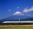 Bullet Train