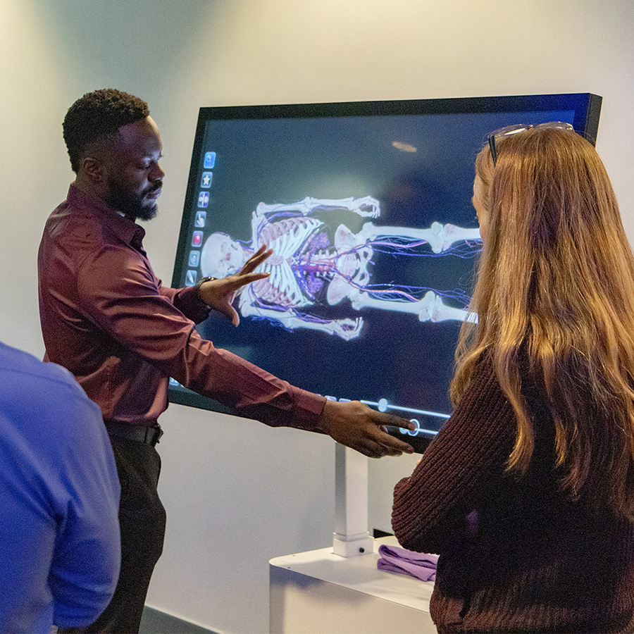 A student demonstrates how to use an Anatomage Table, an advanced 3D anatomy visualization system, point to a large touchscreen. 