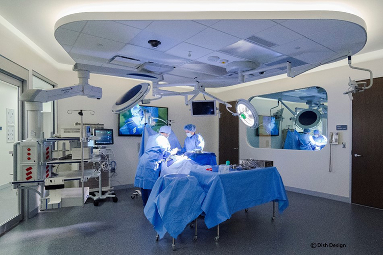 Progressive Anatomy & Surgical Skills Center