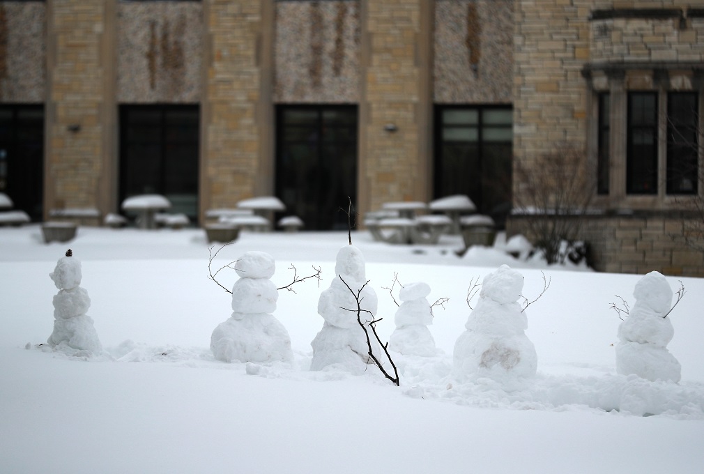 healthy snowmen