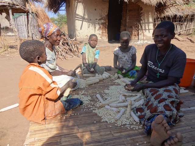 Peace Corps in Malawi making corn