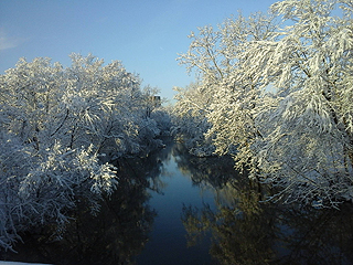 Bruce Kwiatkowski, 1st place for "Winter Scene"