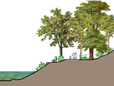 cross-section of river showing cutbank plan