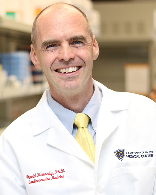 David Kennedy, PhD - Associate Professor, College of Medicine and Life Sciences