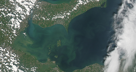 Lake Erie bloom