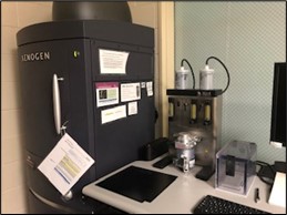 Image to the IVIS spectrum in-vivo imaging system