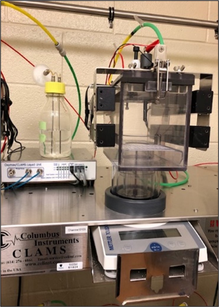 Image of the Mouse CLAMS equipment