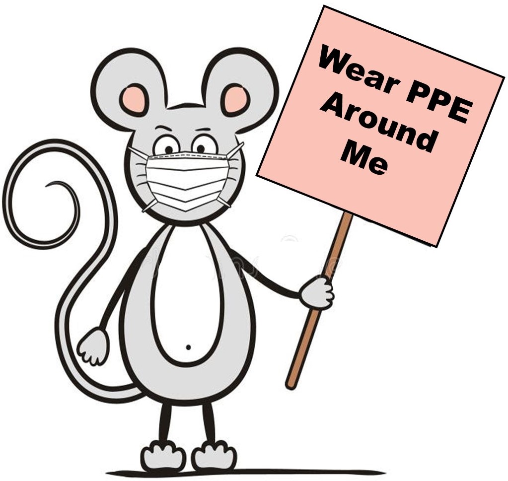 Color image of a cartoon mouse holding a sign stating "wear ppe around me"