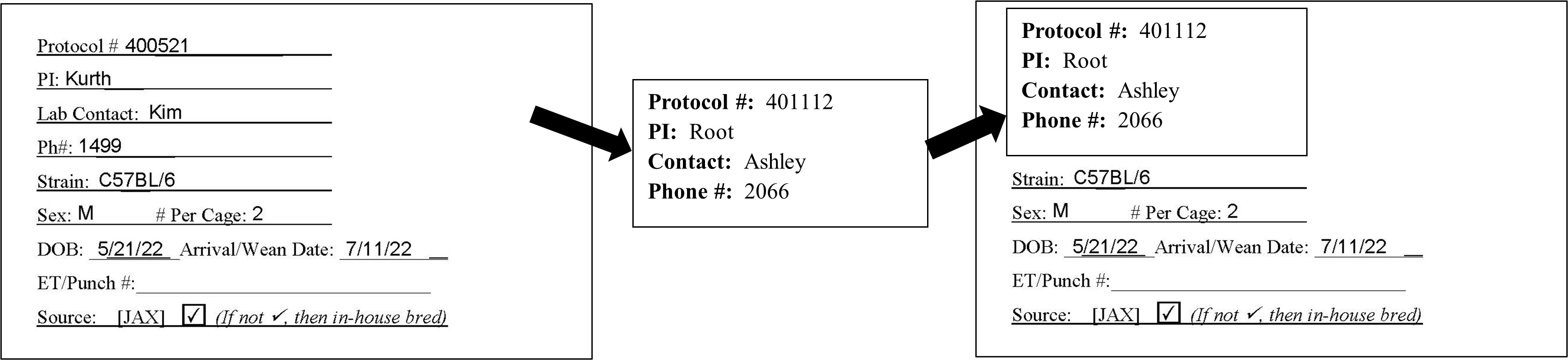 Image of a cage card, a transfer label and the proper placement of label on card