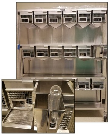 rat metabolic stainless steel unit