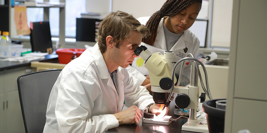 Researchers in a lab photo