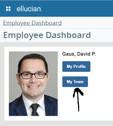 Employee Dashboard - My Team Button