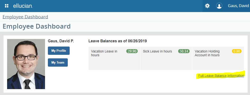 Employee Dashboard - Full Leave Balance Information