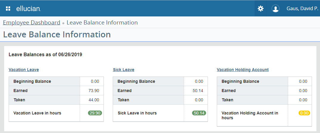 Employee Dashboard - Full Leave Balance Information Details