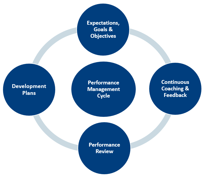 Performance Management Cycle Diagram