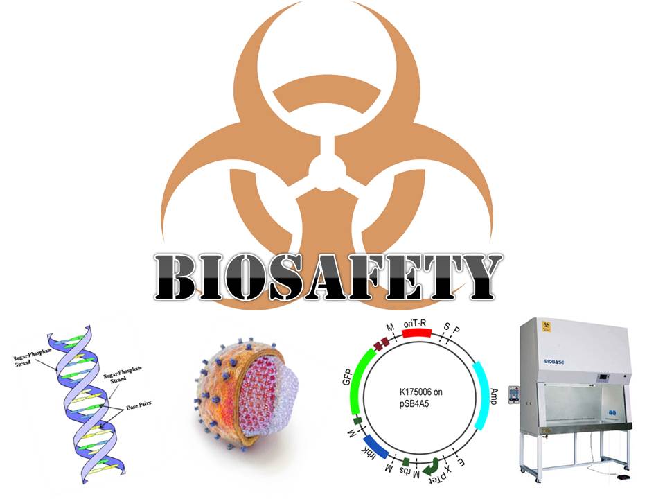 biosafety picture