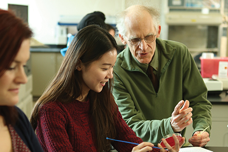 faculty working with students in a classroom