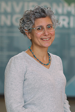 Dr. Defne Apul, Chair
