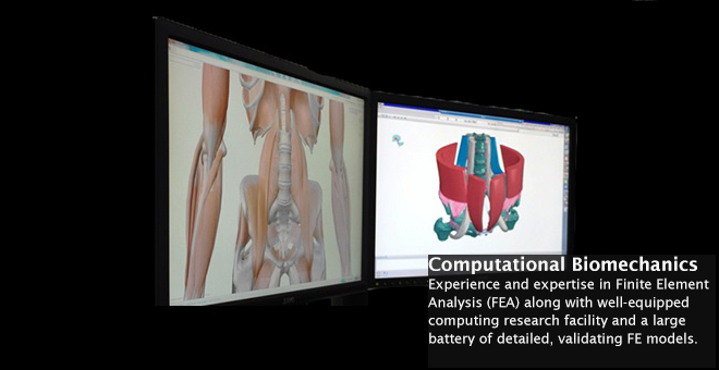 biomechanics