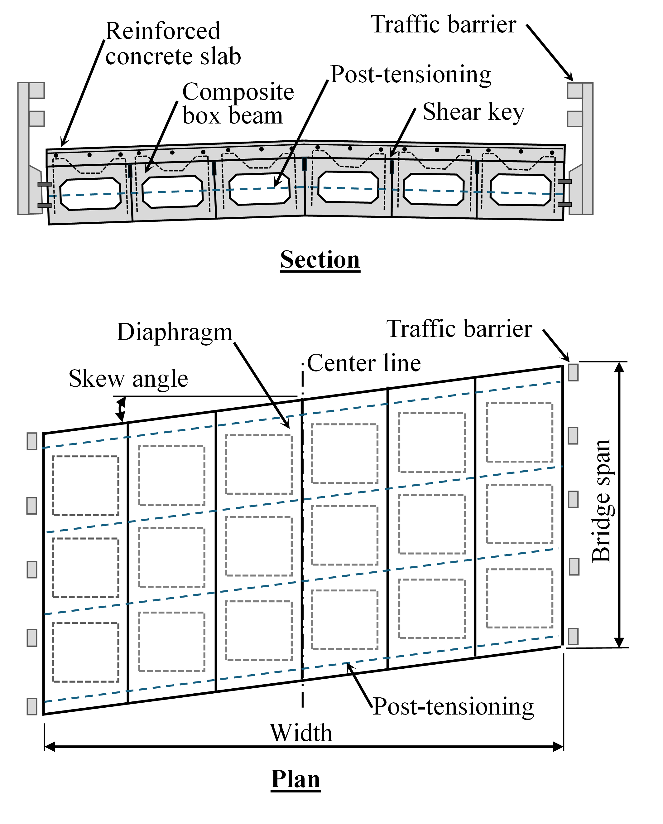 Typical plan and section of skewed adjacent box beam bridge with composite beams.