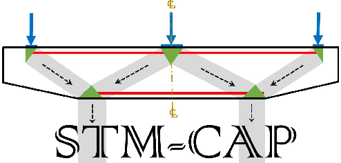 STM-CAP