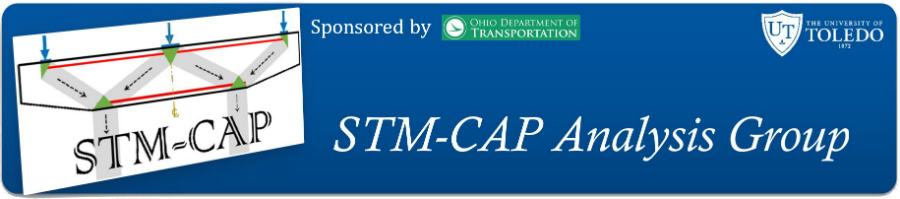 STM-CAP Analysis Group
