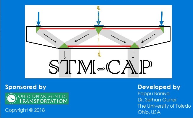 STM-CAP