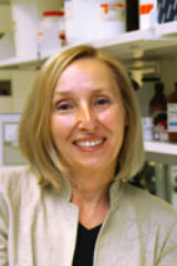 Dr. Beata Lecka-Czernik