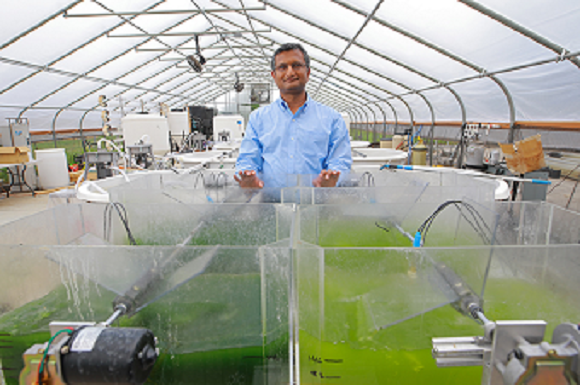 smiling dark haired man with glasses in green house with vats of algae