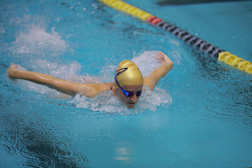 A UToledo swimmer swimming in a pool