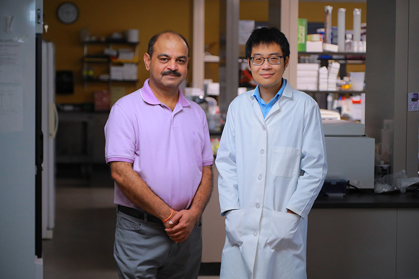 Matam Vijay-Kumar, Ph.D., standing in a laboratory with Beng San Yeoh, Ph.D.
