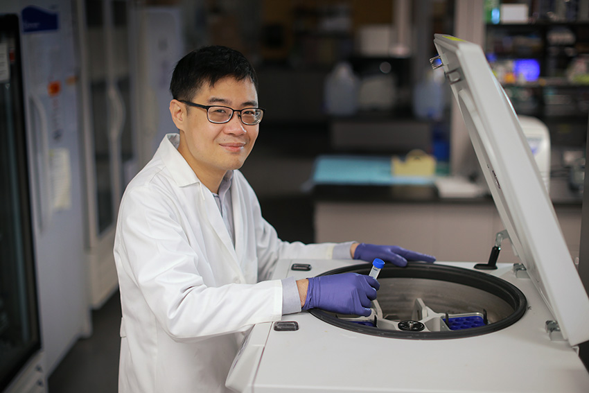 Beng San Yeoh, Ph.D., working in a laboratory
