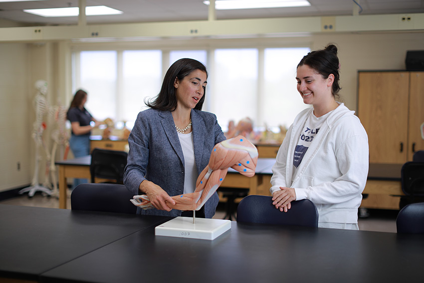 Dr. Sarah Long discussing a 3d model of human muscles with a student