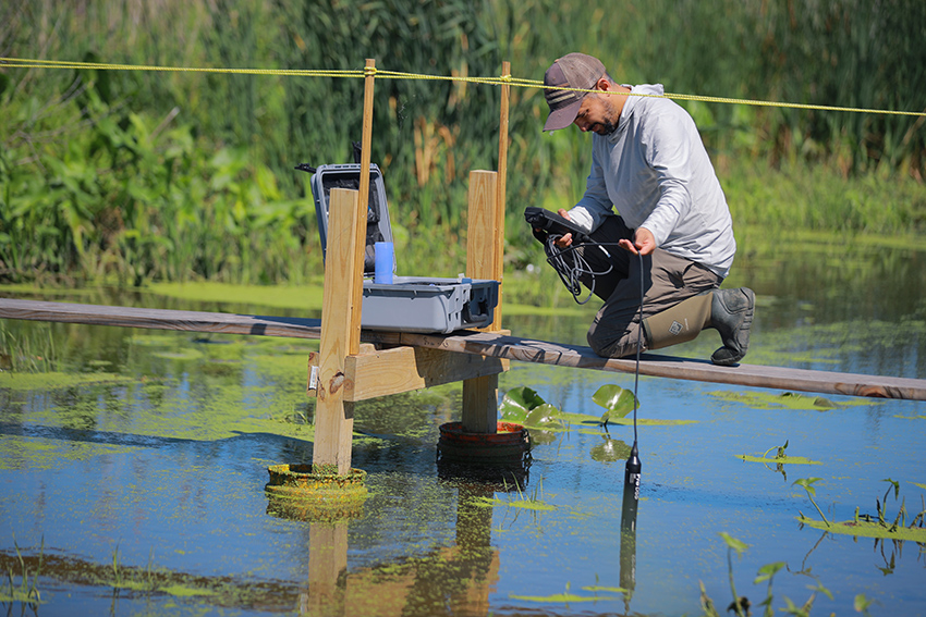 A man holding a measuring device in a body of water speckled with algea and other plant life.