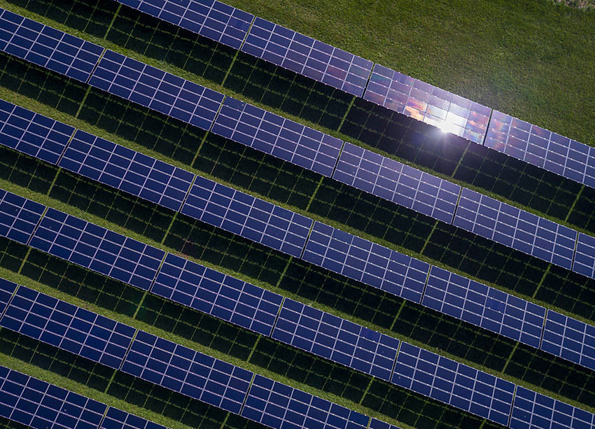 Rows of solar panels in a grass field.