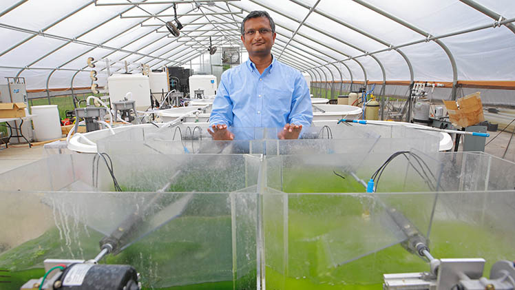 Sridhar Viamajala, Ph.D