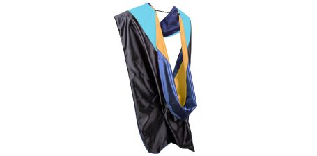 Education Specialist hood with light blue velvet, dark blue lining, and gold chevron