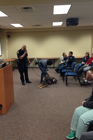 swat demonstration with dog