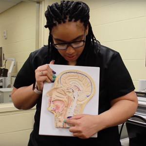 Student pointing at diagram of the human head