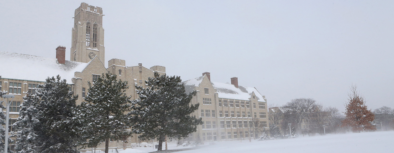 university of toledo