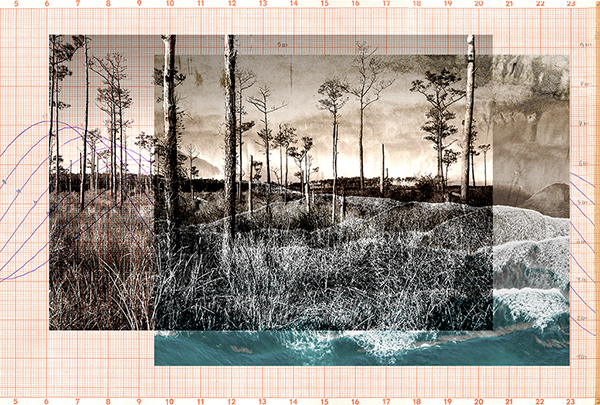 margaret lejeune's artwork titled two trees marigram