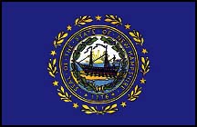 New Hampshire State Flag