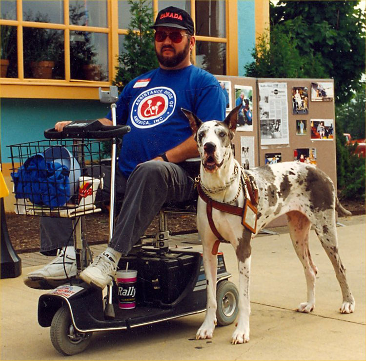 Assistance Dogs of America