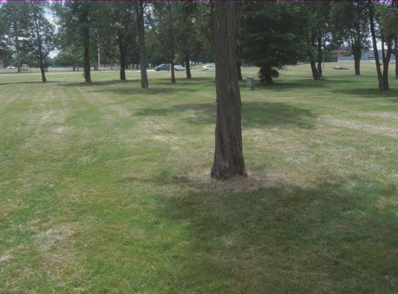 The older of the two cemeteries at the former Toledo State Hospital