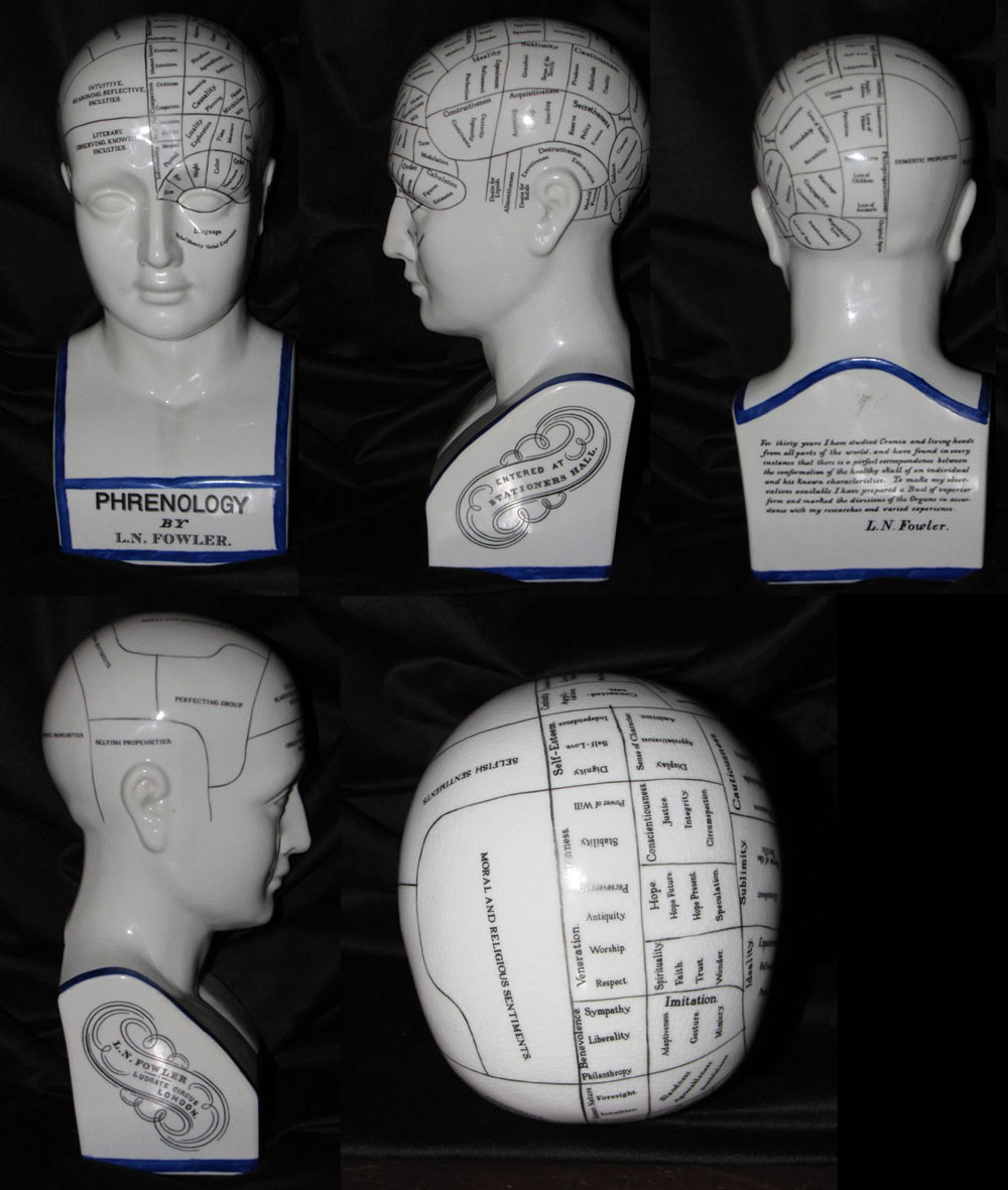 Phrenology Head with 5 views