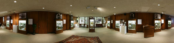Inside Canaday Center - Panoramic View of the Disability Exhibit
