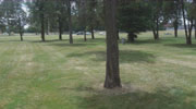 This photograph was taken at one of the hospital’s cemeteries off Arlington in south Toledo. It shows the lack of visible grave markers, and the depressions left in the ground from the collapsing graves. Click on the image to view a larger image.