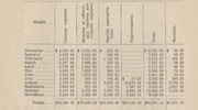 A table presenting the monthly expenses and revenue.